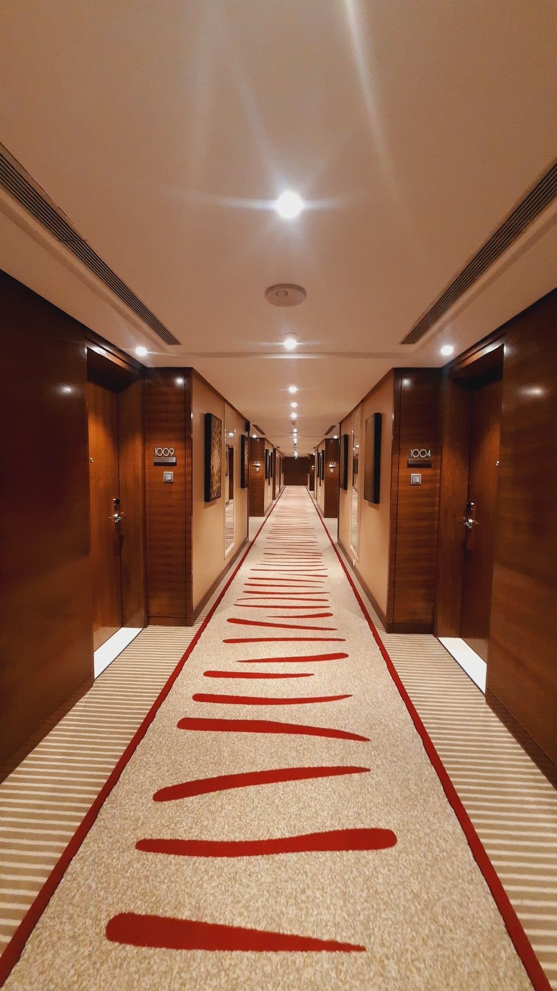 A long hotel corridor with a patterned carpet